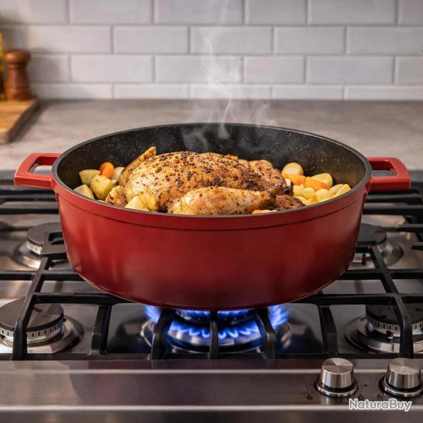 Cocotte ovale fonte alu 32x25cm 6,6L tous feux nuage