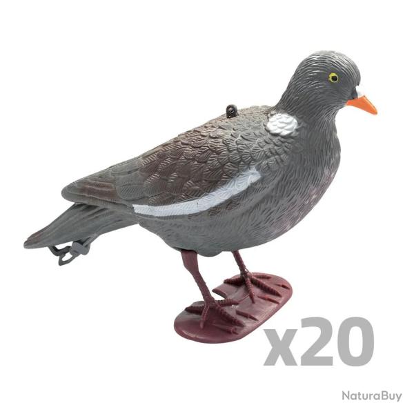 Lot de 20 Appelants Pigeons au pos�