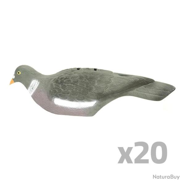 Lot de 20 Pigeons ramier en coquille l�ger