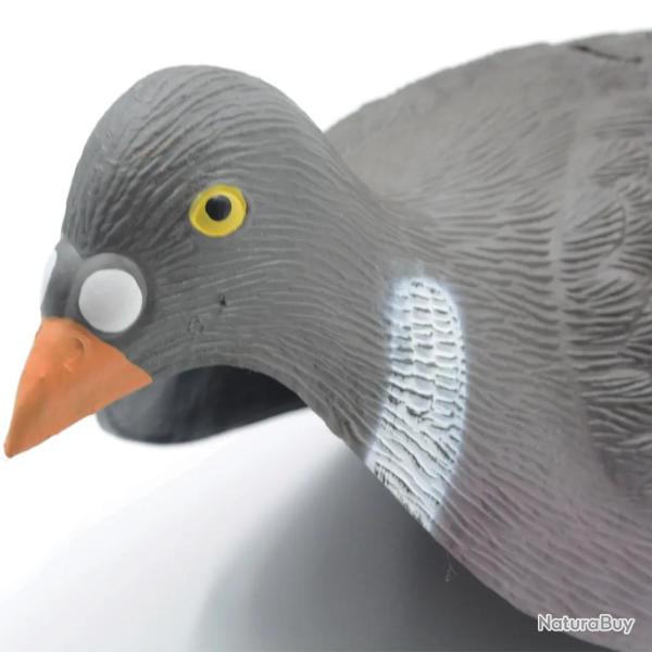 Lot de 20 Pigeons ramier en coquille l�ger