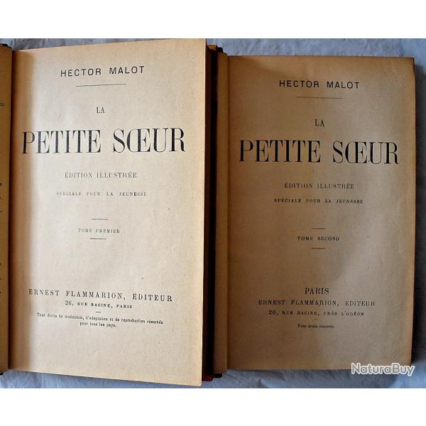 La Petite Soeur - Hector Malot - Tomes I et II