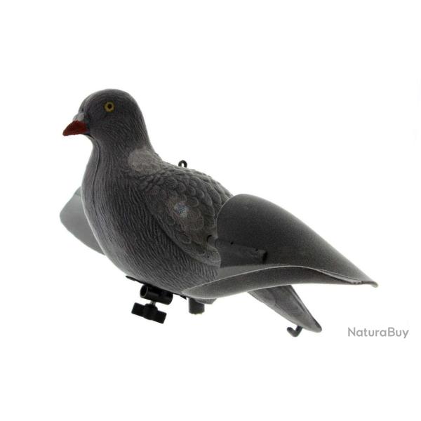 Appelant Pigeon Anglais Ailes Tournantes - EUROP'ARM