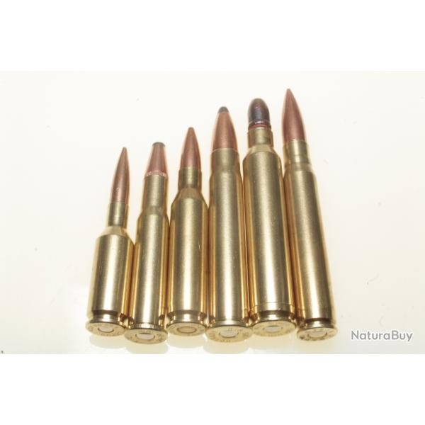 Collection de 6 cartouches gros calibre port gratuit !