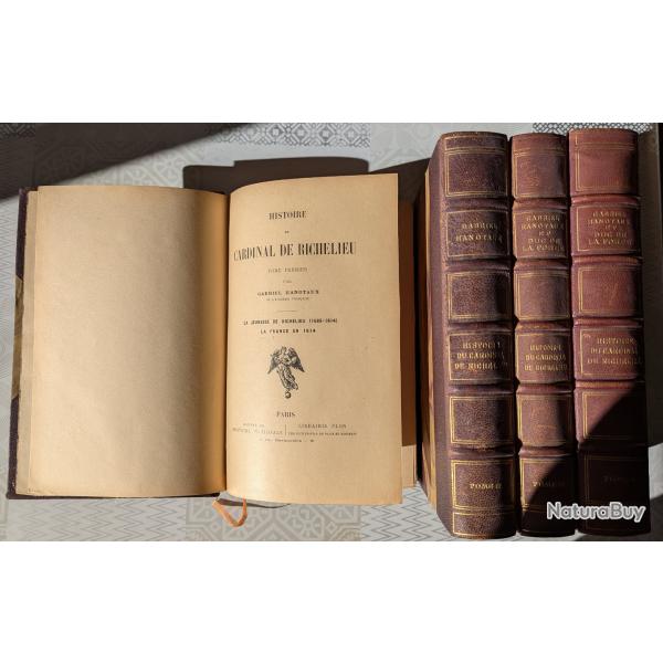 Histoire du cardinal de richelieu.