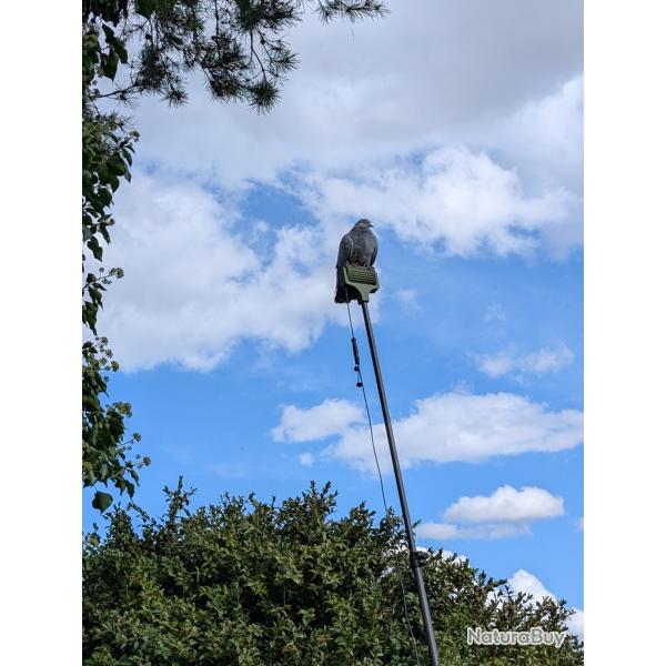 M�t en carbone 18m + kit rouleau �lectrique