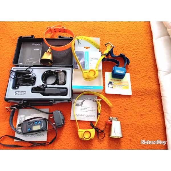 Lot de 6 colliers pour chien de chasse