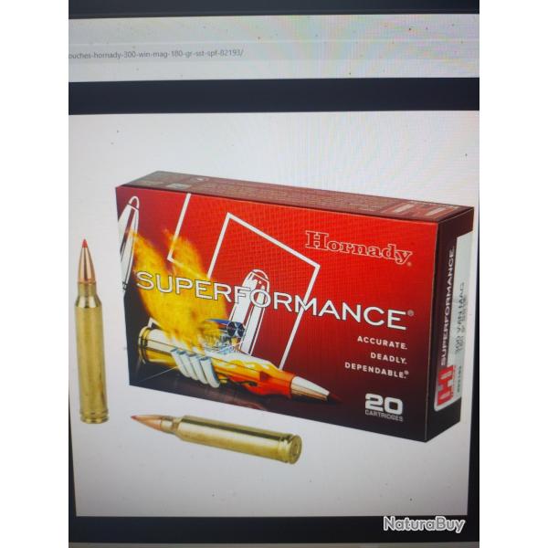 Boite de 20 cartouches hornady 300 win mag 180 gr sst spf 82193