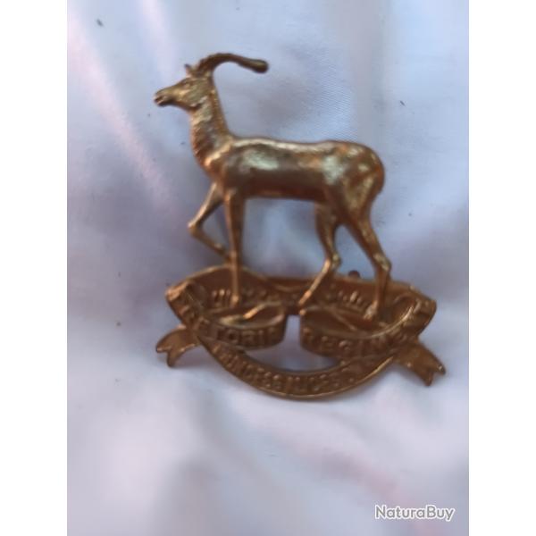 insigne Afrique du sud