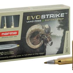 Balles Norma 300 Win Mag - Evostrike 139 gr