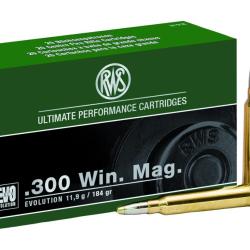 Balles RWS 300 WM - EVO 184 gr