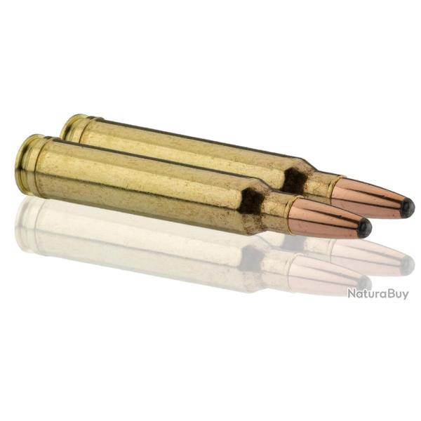 Balles Sologne 300 Win Mag - Nosler Partition 220 gr