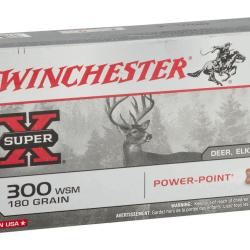 Balles Winchester 300 WSM - Power Point 180 gr