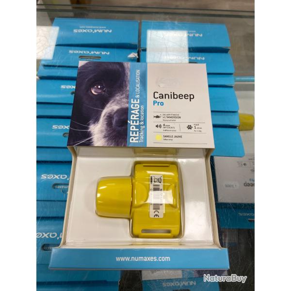 Collier de rep�rage Num'axes Canineep Pro