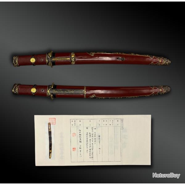COUTEAU appel� Tanto sign� Igo avec certificat NBTHK - Japon - P�riode Edo (1603-1868)
