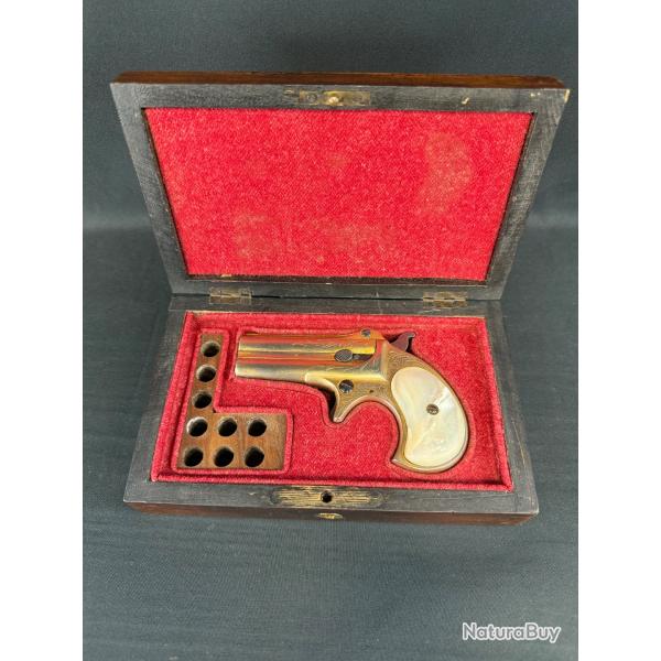 MAGNIFIQUE REMINGTON DERRINGER cal.41