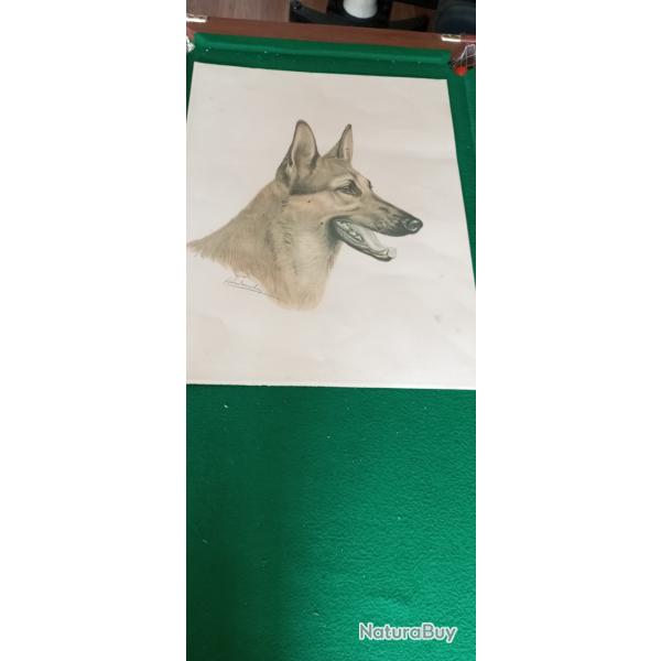 Lithographie signe Lon Danchin