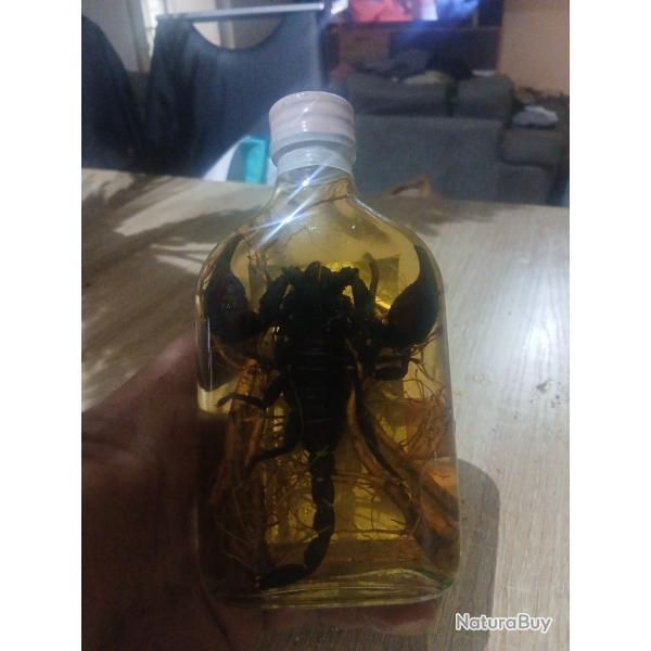 Bouteille alcool de riz avec scorpion