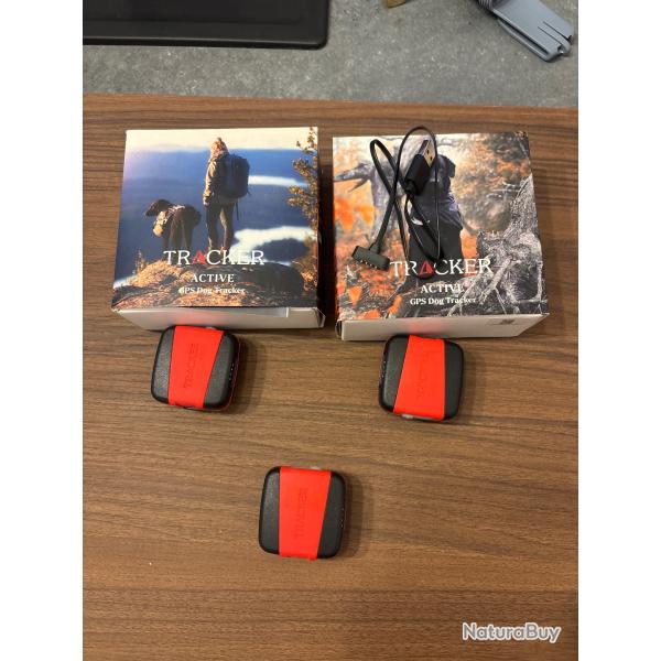 Gps pour chien