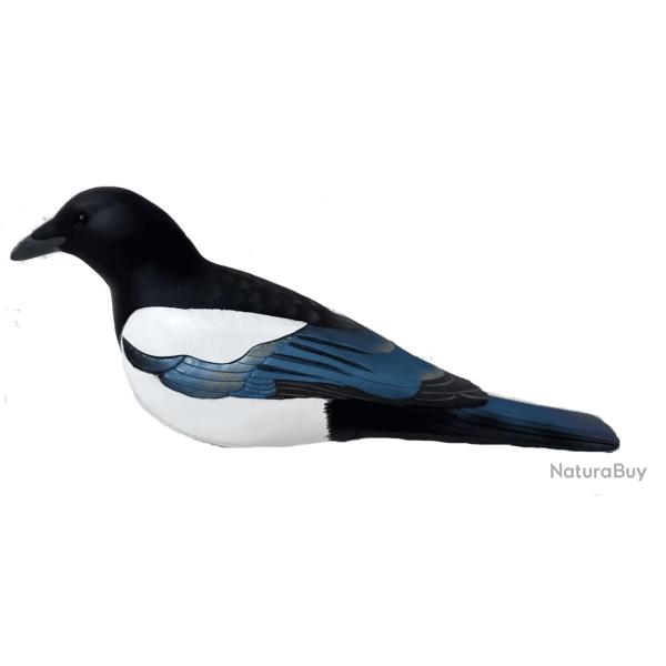 Lot de 4 pies ultra HD Final Approach