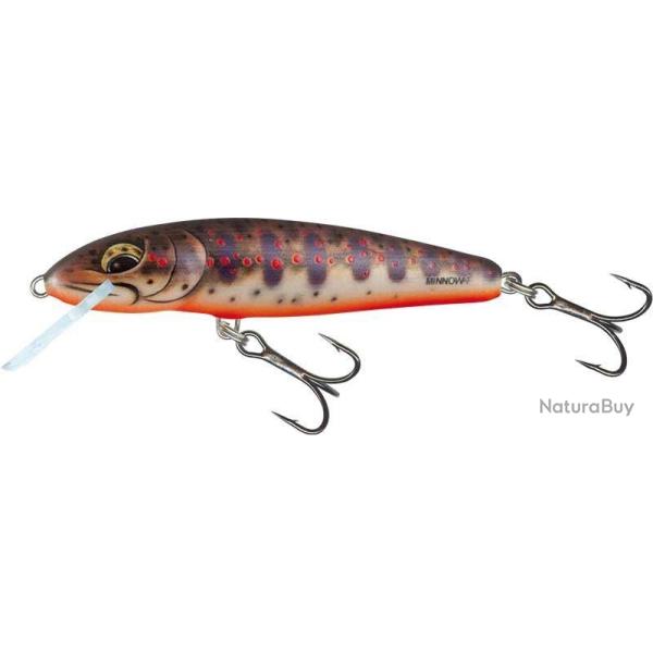 Poisson Nageur Salmo Minnow Coulant 5cm 5g 5cm Freshwater Minnow