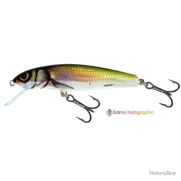 Poisson Nageur Salmo Minnow Coulant 6cm 6cm HBL - Holo Bleak 6g