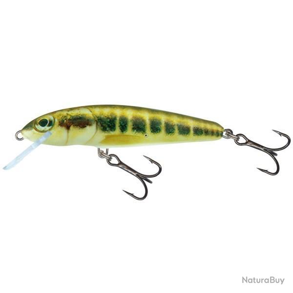 Poisson Nageur Salmo Minnow Coulant 6cm 6cm M - Minnow 6g