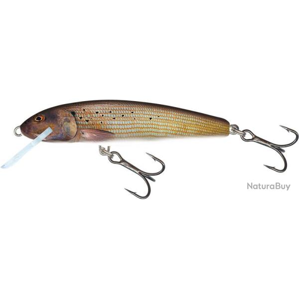 Poisson Nageur Salmo Minnow Coulant 6cm 6cm Grayling 6g