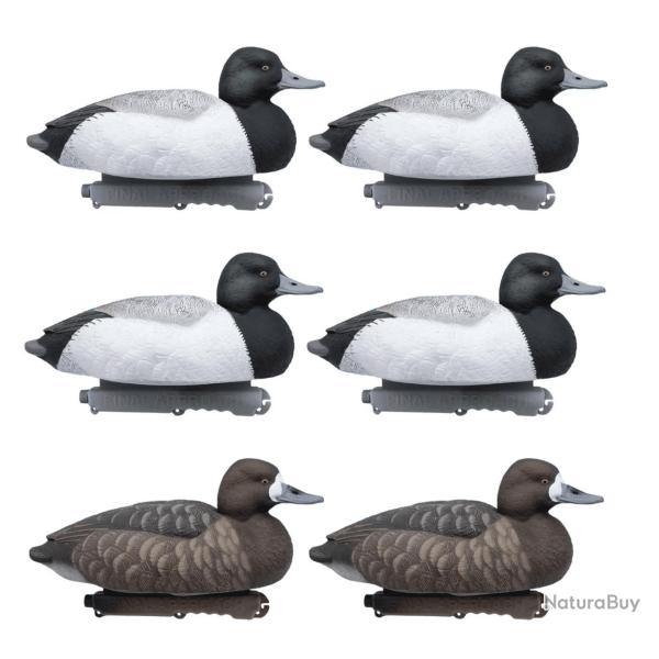 Lot de 6 appelants morillons flottants