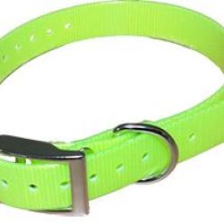 Collier HB DOG BIOTHANE&reg; BIOGOLD 450mmx19mm