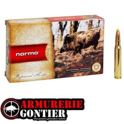 Munitions NORMA .300 Win Mag 180 gr PPDC Plastic Point - Bo&icirc;te de 20