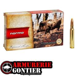Munitions NORMA 30-06 PPDC 11.7G 180GR