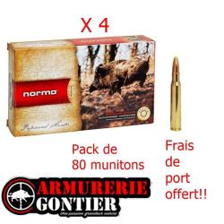 Pack de 80 Munitions NORMA 30-06 PPDC 11.7G 180GR