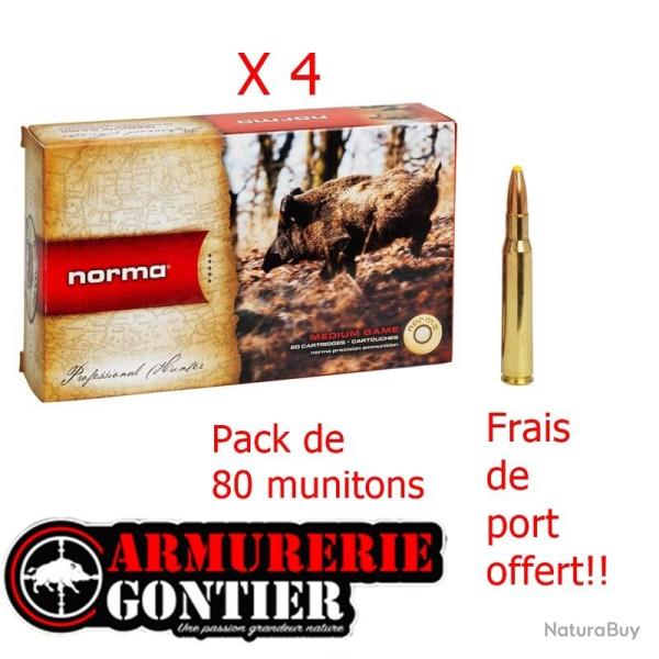 Pack de 80 Munitions NORMA 30-06 PPDC 11.7G 180GR