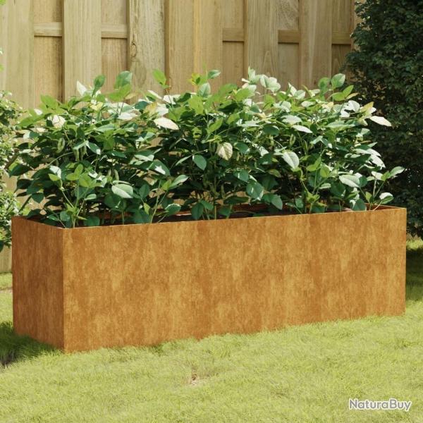 Lit sur�lev� de jardin 120x40x40 cm acier corten