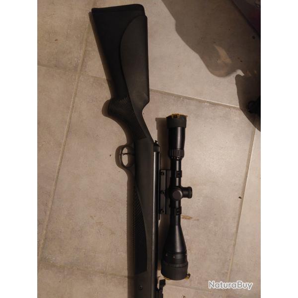 Pack DIANA Panther 31