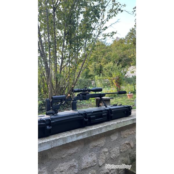 Pack tld Complet Ata alr 308 win / Lunnette + montage / Rds / Bipied / Mallette