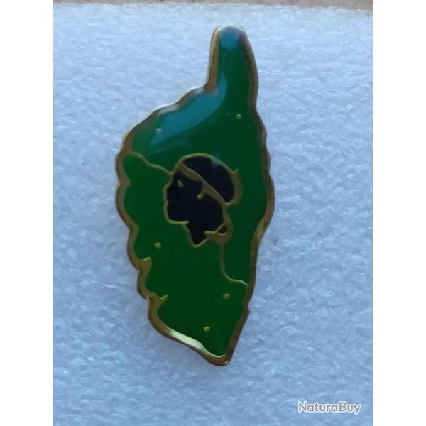 PINS CORSE ILE  CORSE TETE MAURE FOND VERT