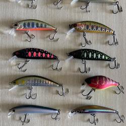 Poissons nageurs truite perche