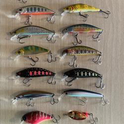 Poissons nageurs truite perche
