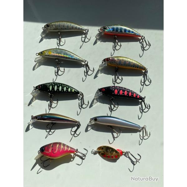 Poissons nageurs truite perche