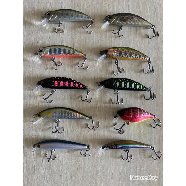 Poissons nageurs truite perche