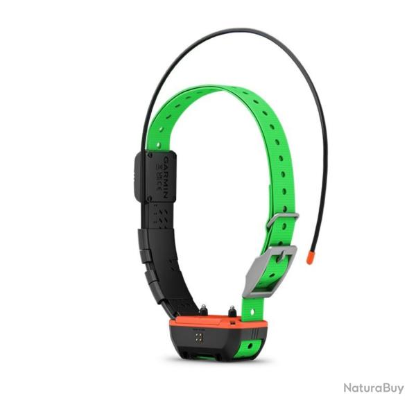 Collier de rep�rage / dressage Garmin TT25 F