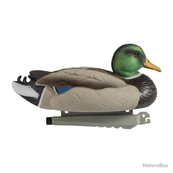 Colvert mousse Stepland Ultra HD - M�le