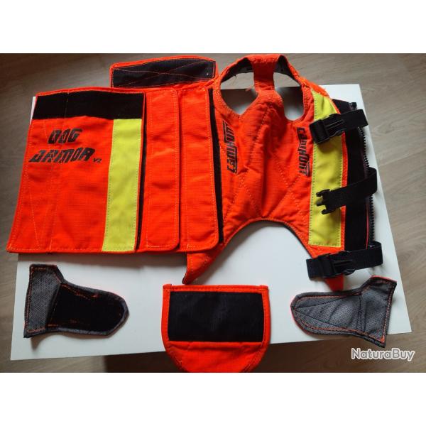 Gilet de protection Canihunt Teckel et accessoires