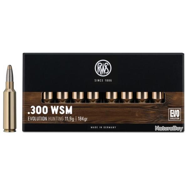 LOT DE 40 MUNITIONS RWS CAL 300WSM EVO 11.9G  184GR