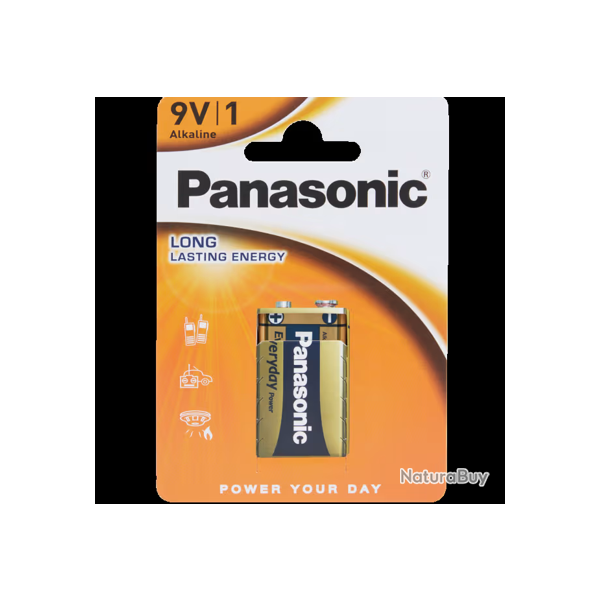 Piles 9v panasonic