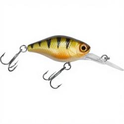 Poisson nageur ILLEX Diving chubby 38 Perch