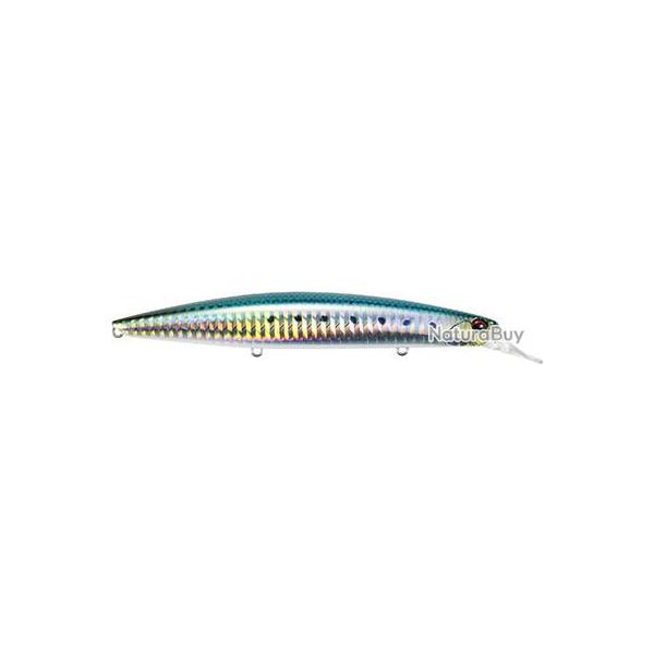Poisson nageur DUO Beach walker guado 130 S GHA0405