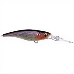 Poisson nageur MEGABASS Shading X R 62 FA TNG