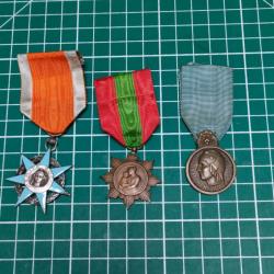 LOT DE 3 MEDAILLES FRANCE, MERITE SOCIAL, SPORT ....